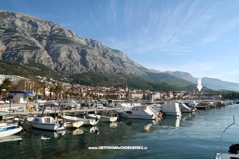 Apartments Pašalić – photo 8