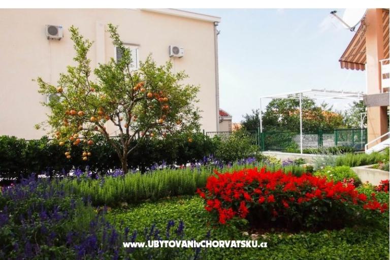 Apartments Vrpolje  – photo 2
