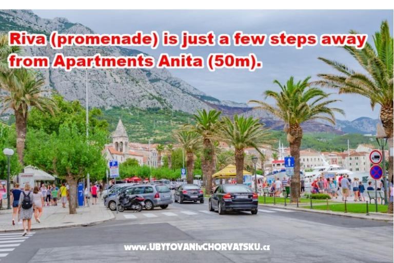 Apartments Anita - Center – photo 17