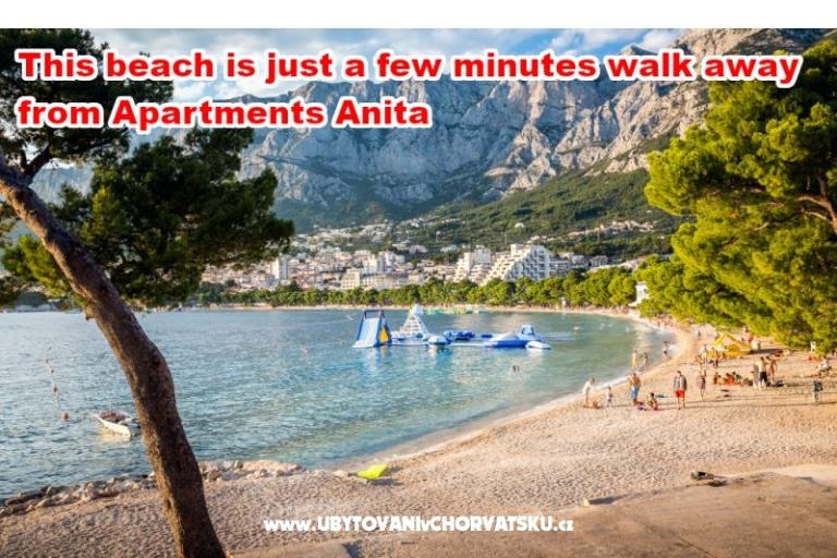 Apartments Anita - Center – photo 8