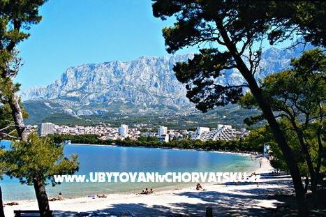 Apartments Green House – photo 6