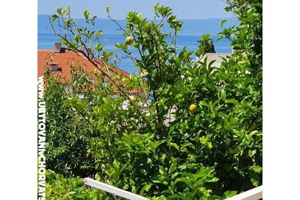 Apartments Sani – photo 18