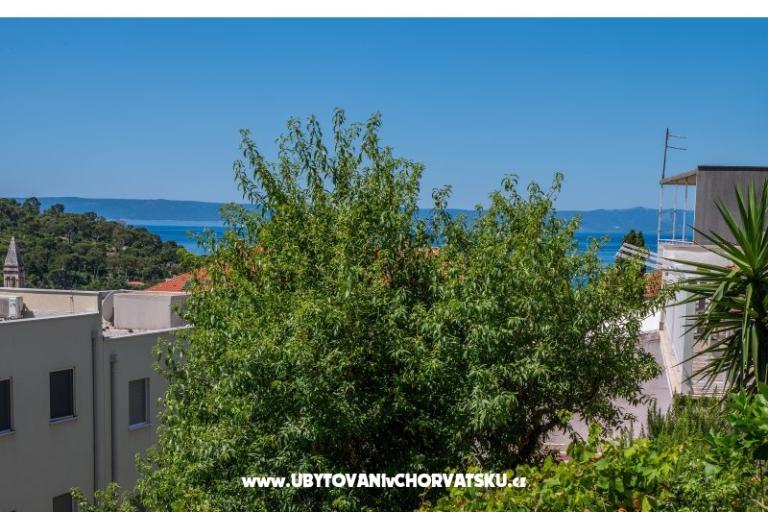 Apartments Sani – photo 21