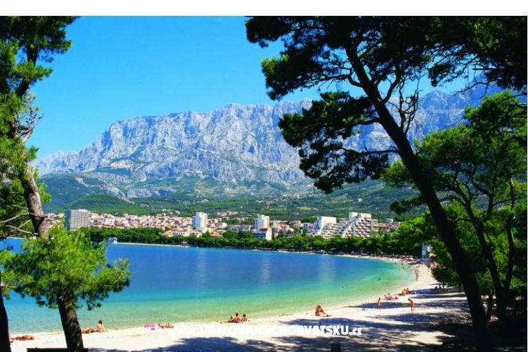 House Erceg – photo 14