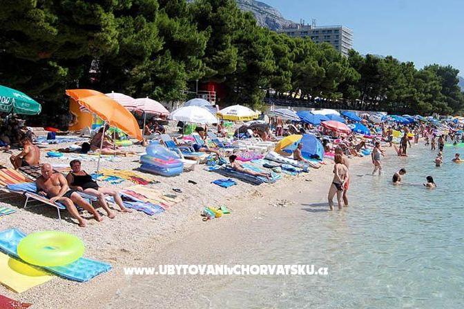 Hotel Bonaca – photo 8