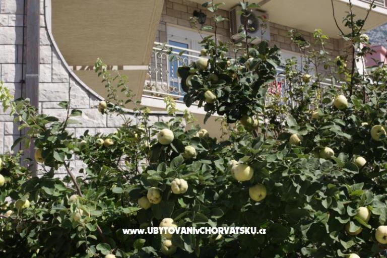 Hotel Makarska – photo 16