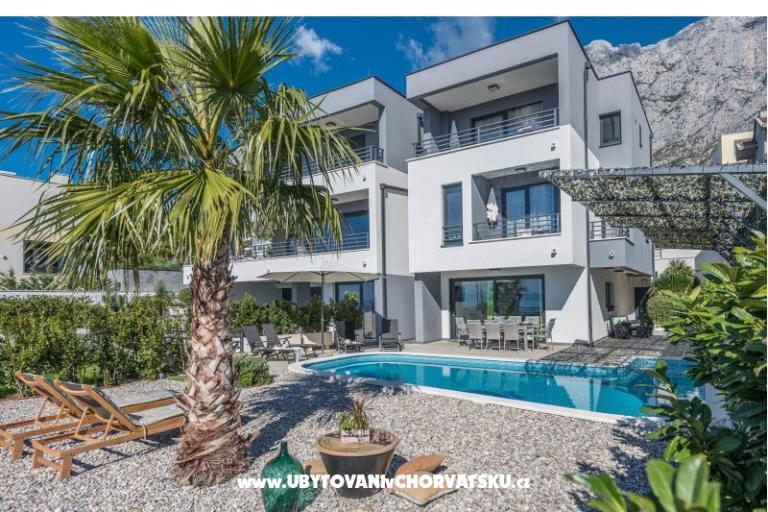 Luxury Visium – photo 5