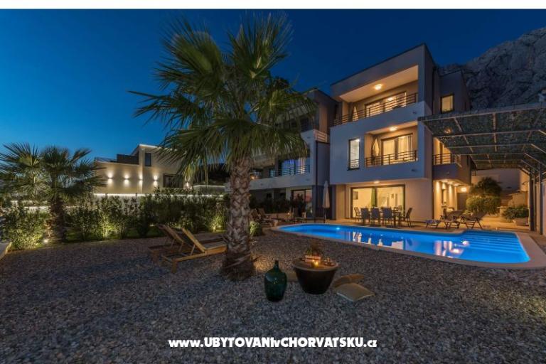 Luxury Visium – photo 8