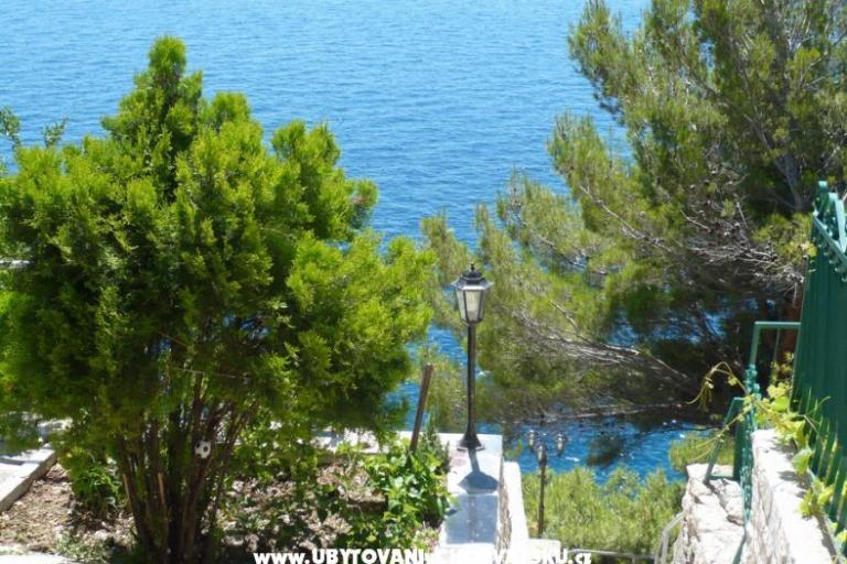 Apartments Sliskovic, 1. line to sea – photo 8