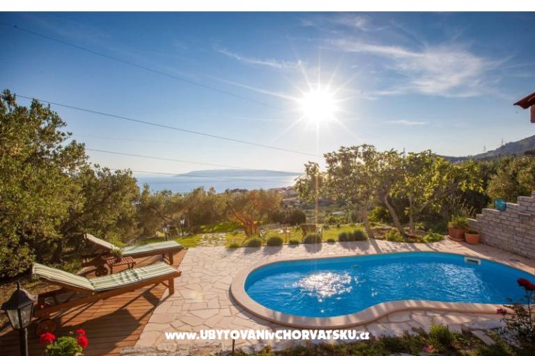 Rustic Oliveto – photo 3