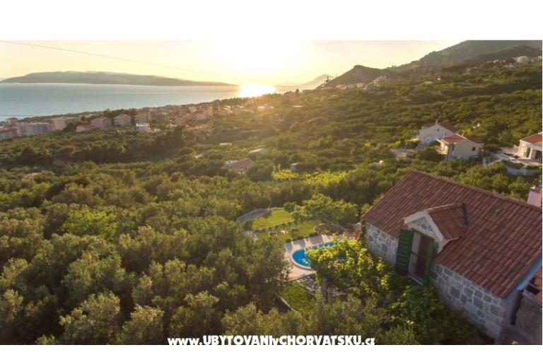Rustic Oliveto – photo 6