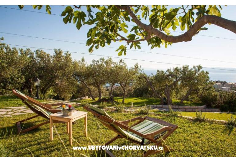 Rustic Oliveto – photo 7