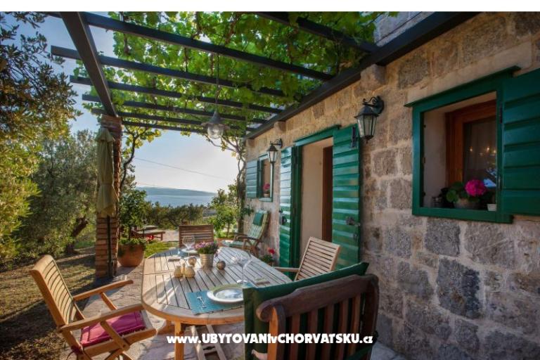 Rustic Oliveto – photo 8