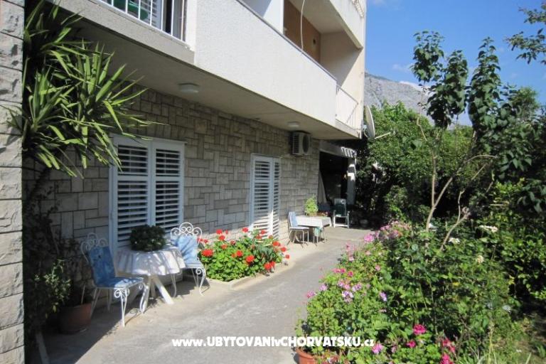Villa Olga – photo 3