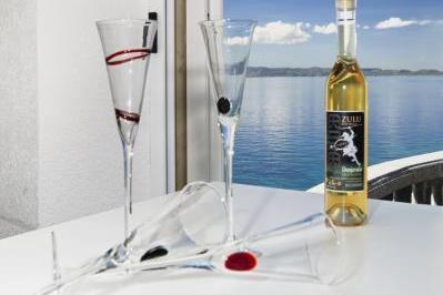 Vila Rozy – photo 16