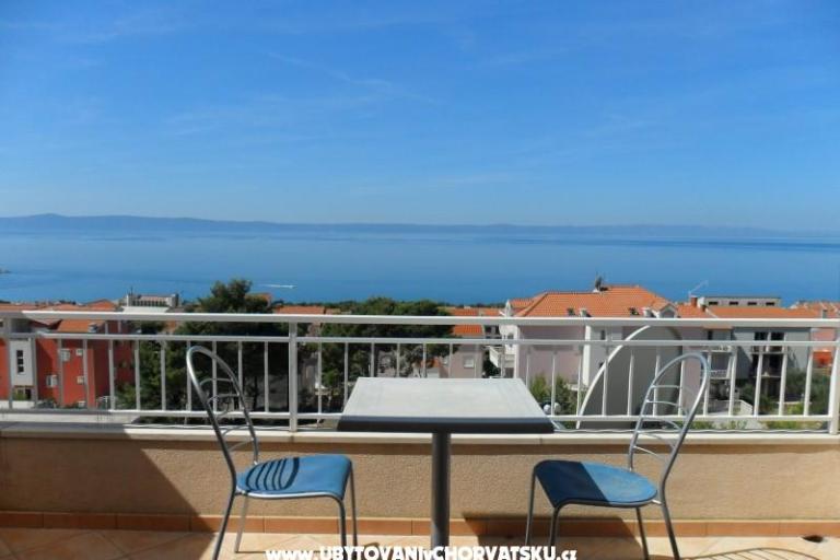 Villa Botanika – photo 8