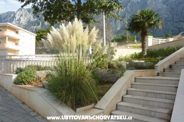Villa Iva – photo 14