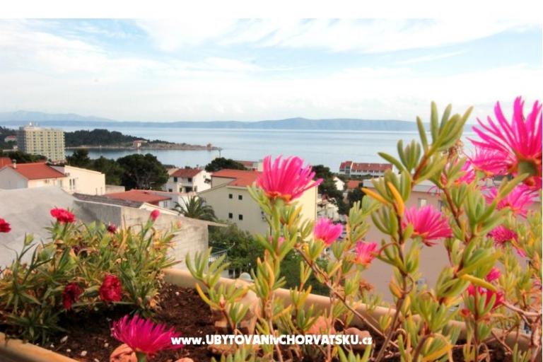 Villa Ivona  – photo 17