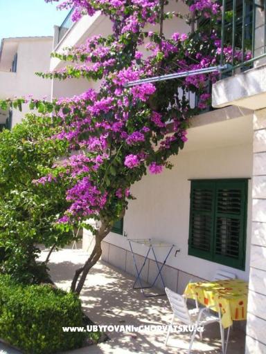 Apartments Villa Luce – photo 2