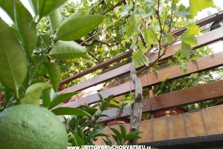 Apartments  Vodarić – photo 7