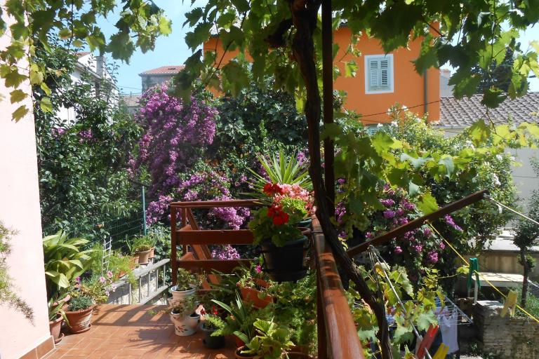 Apartments  Vodarić – photo 8