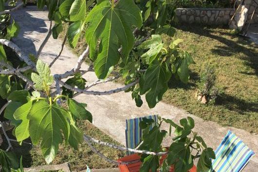 Casa di Castello – photo 3