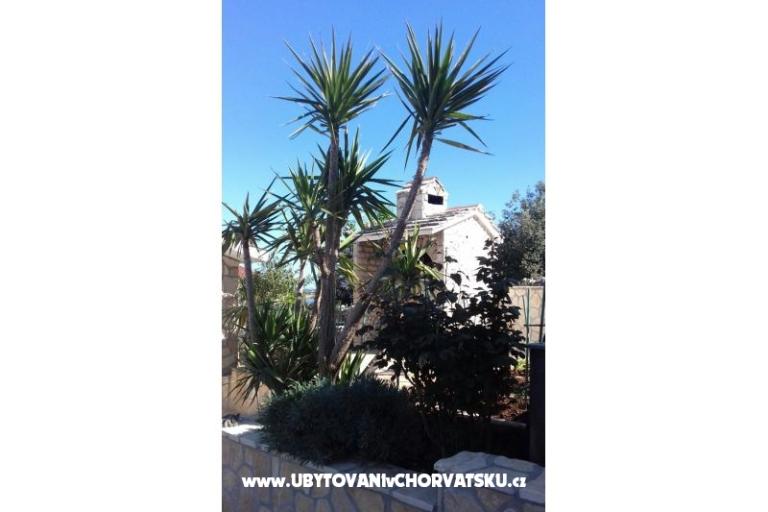 Apartments Ivana – photo 13