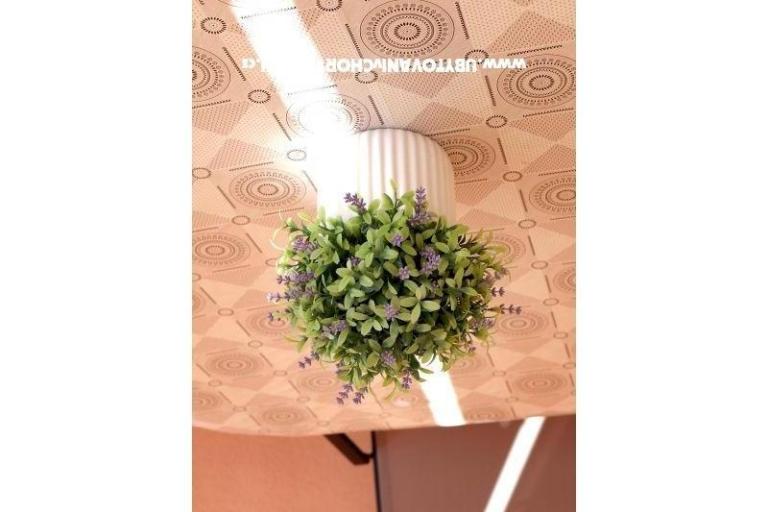 Apartments Ivanka – photo 15