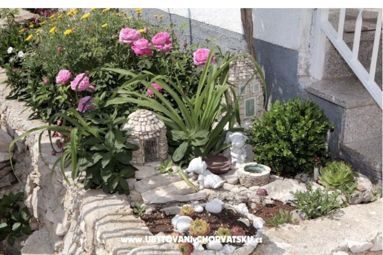 Apartments Knežević – photo 12