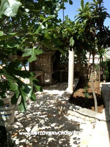 Apartments Lana – photo 9