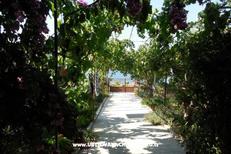 House Marino – photo 10