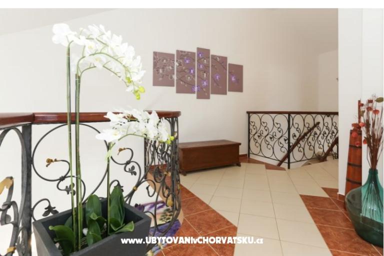 Apartments Mikulić Sevid – photo 16