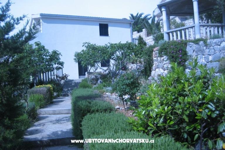 Apartments Punta  – photo 2