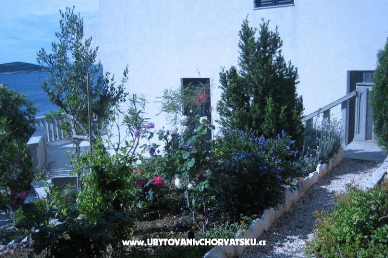 Apartments Punta  – photo 5