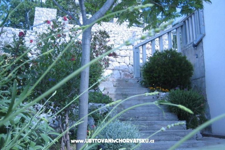 Apartments Punta  – photo 9