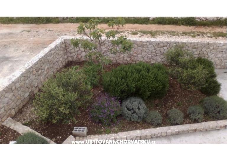Apartment  Darija – photo 15