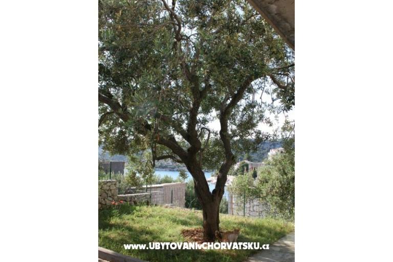 Apartments Sevid Nikša i Lucija – photo 15