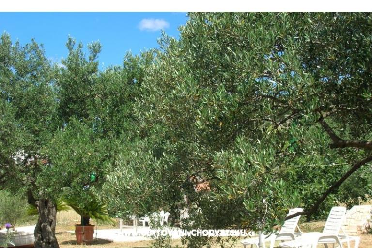 Apartments Mira &amp; Vinko – photo 15