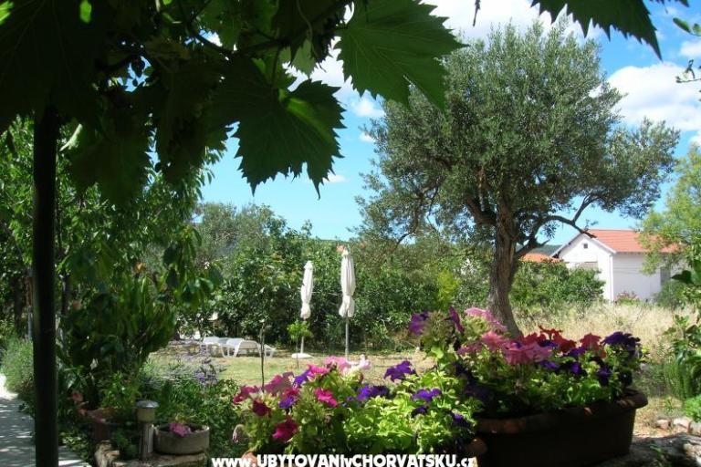 Apartments Mira &amp; Vinko – photo 8