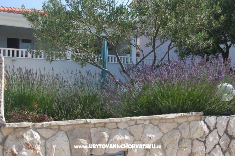 Apartments Villa MANDINA with pool – photo 13