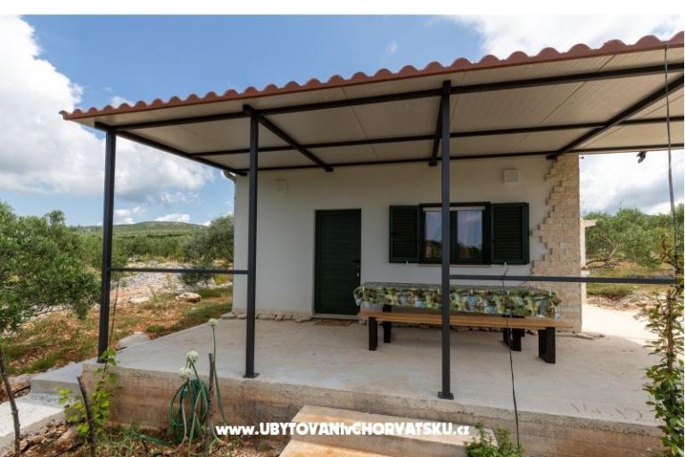 Green House (Dogs are welcome) – photo 10