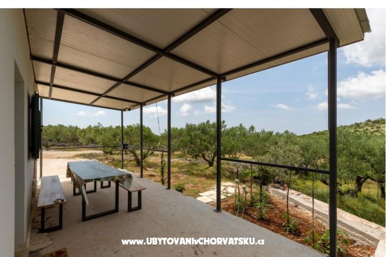 Green House (Dogs are welcome) – photo 11