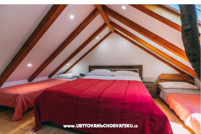 Green House (Dogs are welcome) – photo 27