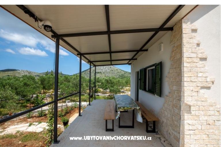 Green House (Dogs are welcome) – photo 8