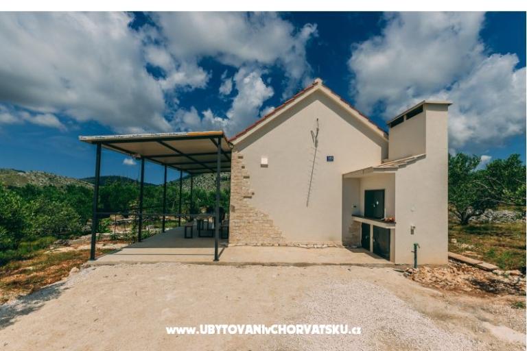 Green House (Dogs are welcome) – photo 9