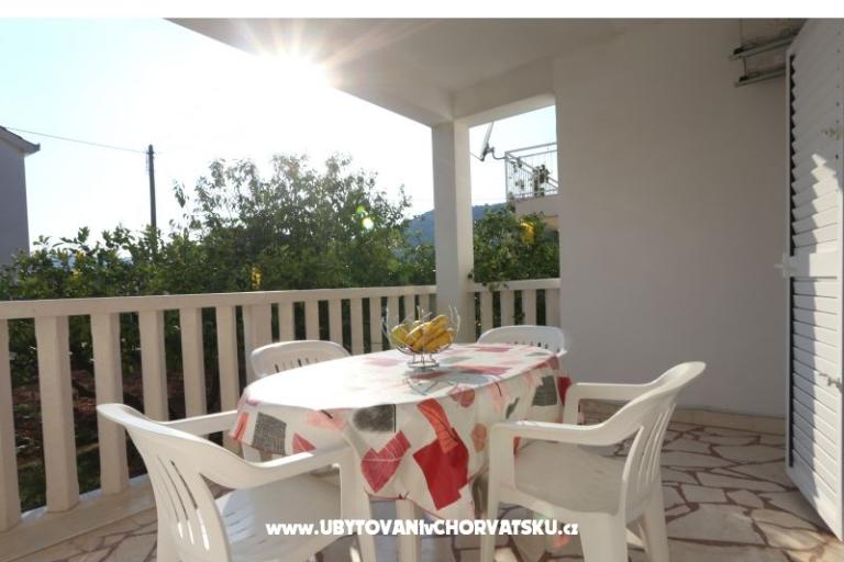 Slavko Šain – photo 14