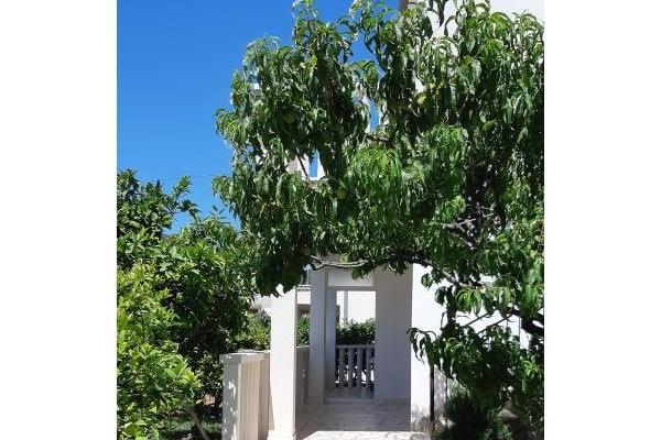 Slavko Šain – photo 2