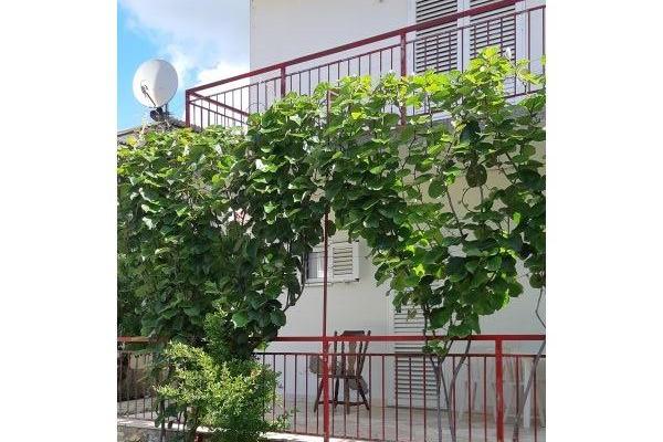 Slavko Šain – photo 24