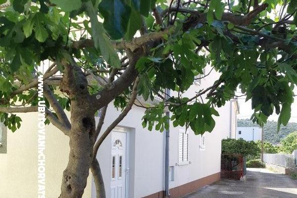 Slavko Šain – photo 26