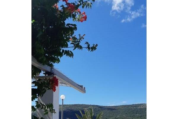 Slavko Šain – photo 9